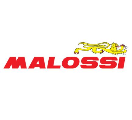 Malossi